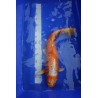 Koi numéro 4