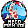 Nego Fish Koï