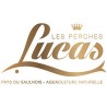 Lucas Perche
